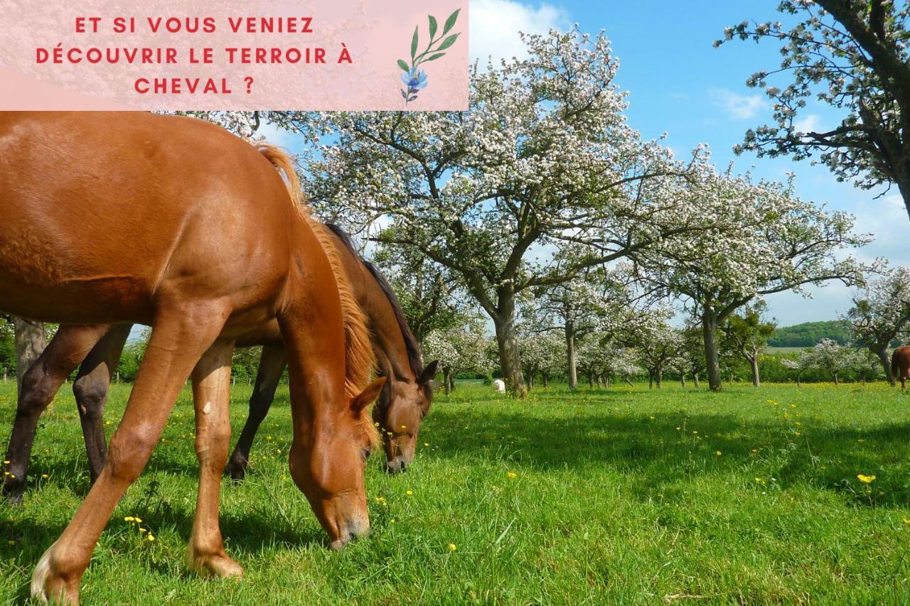 Suite Jungle - Jardin, Netflix Et Parking - Le Manoir Aux Pommes Orbec Екстер'єр фото